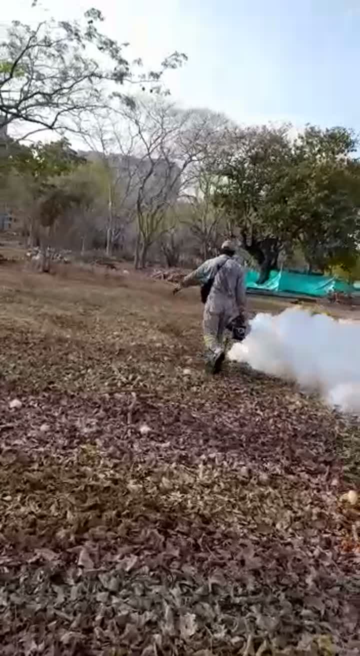 Termonebulización para control de dengue en Cartagena